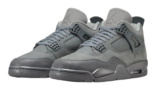 Air Jordan 4 Se Paris Olimpics Wet Cement