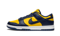Nike Dunk Low Michigan - DD1391-700 - imagen 1