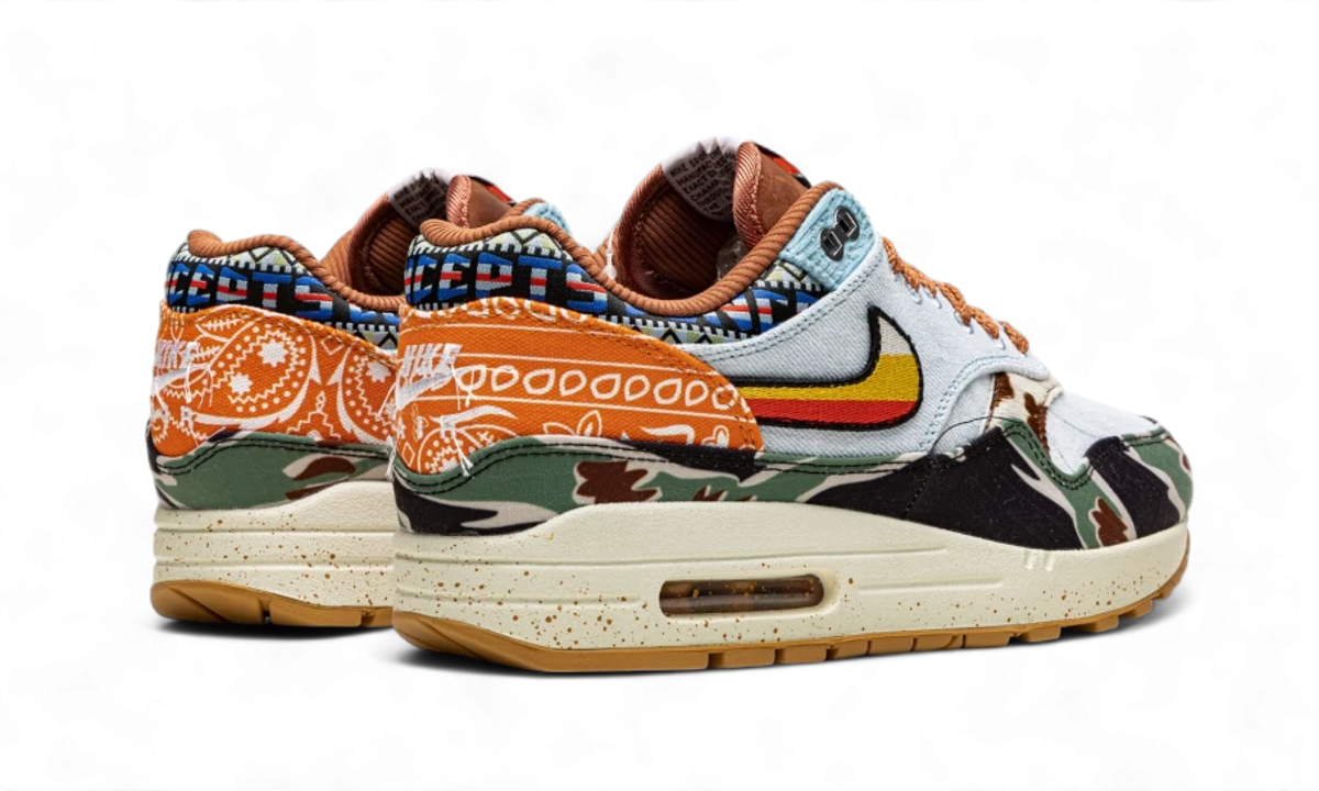 Nike Air Max 1 SP Concepts Heavy - DN1803-900 - imagen 4