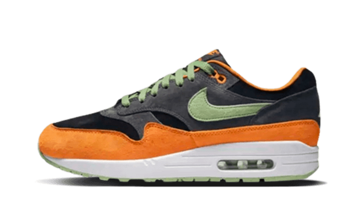 Nike Air Max 1 PRM Duck Anthracite - DZ0482-001 - imagen 1