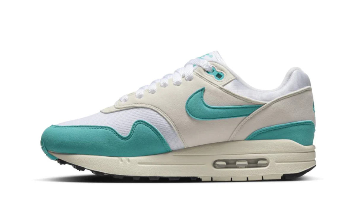 Air Max 1 Dusty Cactus