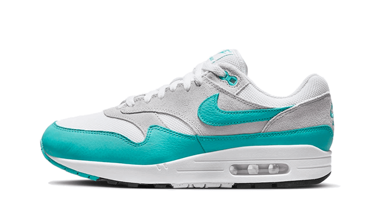 Nike Air Max 1 Dusty Cactus - DZ4549-001 - imagen 1