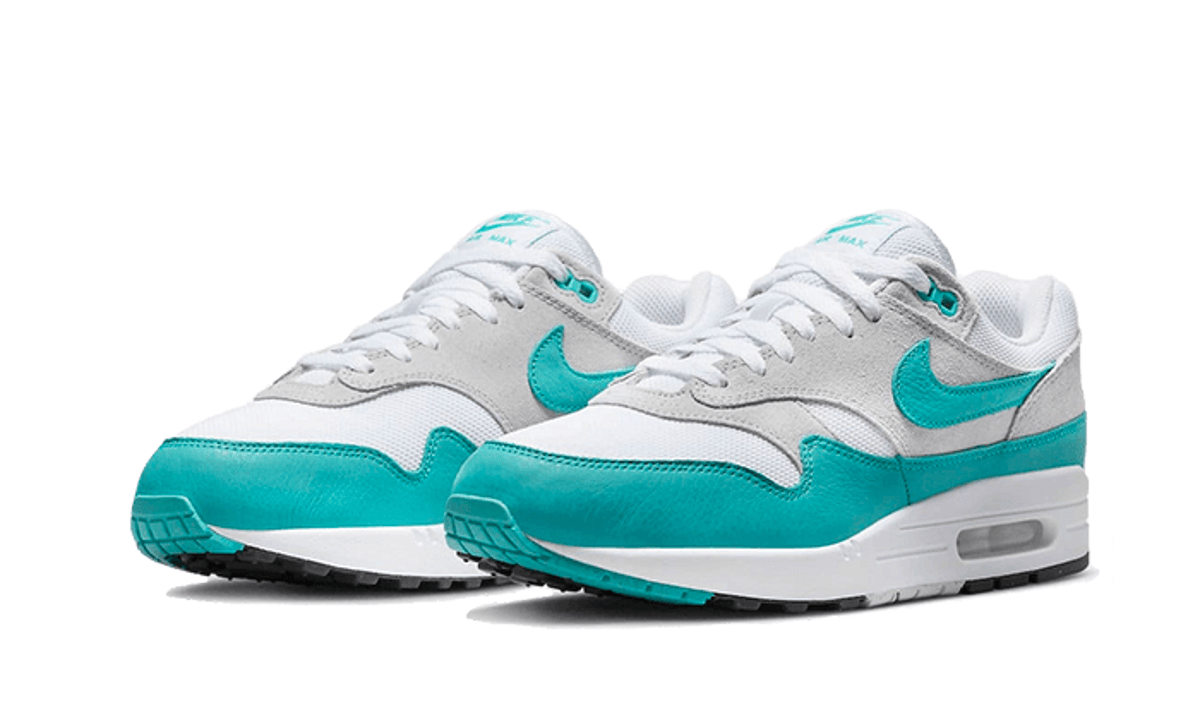 Nike Air Max 1 Dusty Cactus - DZ4549-001 - imagen 2