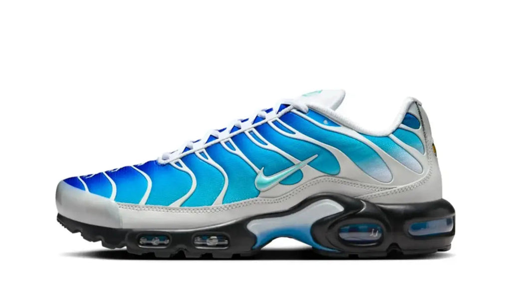 Nike Air Max Plus One Block Down Light Photo Blue - FZ3308-400 - imagen 1