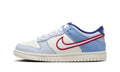 Nike Dunk Low Armory Blue Red Mesh - HF5742-111 - imagen 1