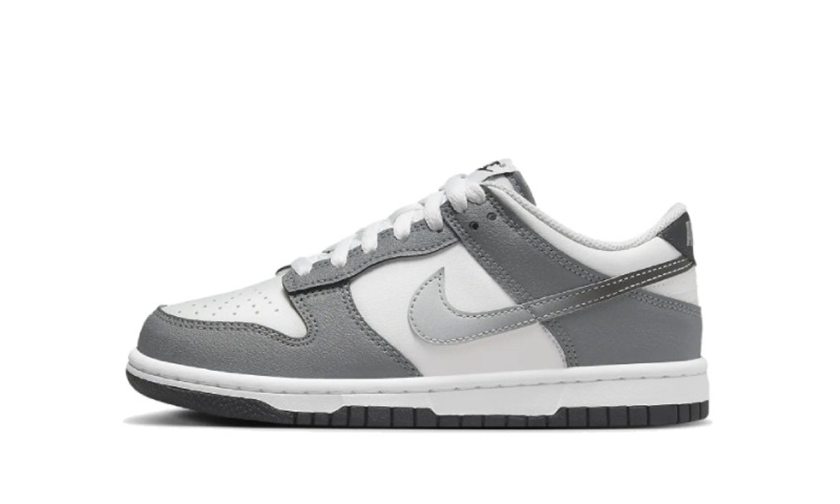 Nike Dunk Low Gradient Swoosh Grey - HM9617-001 - imagen 1