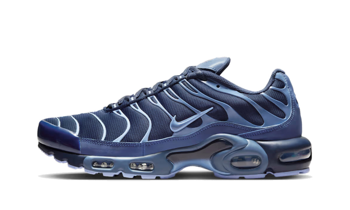Nike Air Max Plus Obsidian Aluminum - IM6601-451 - imagen 1