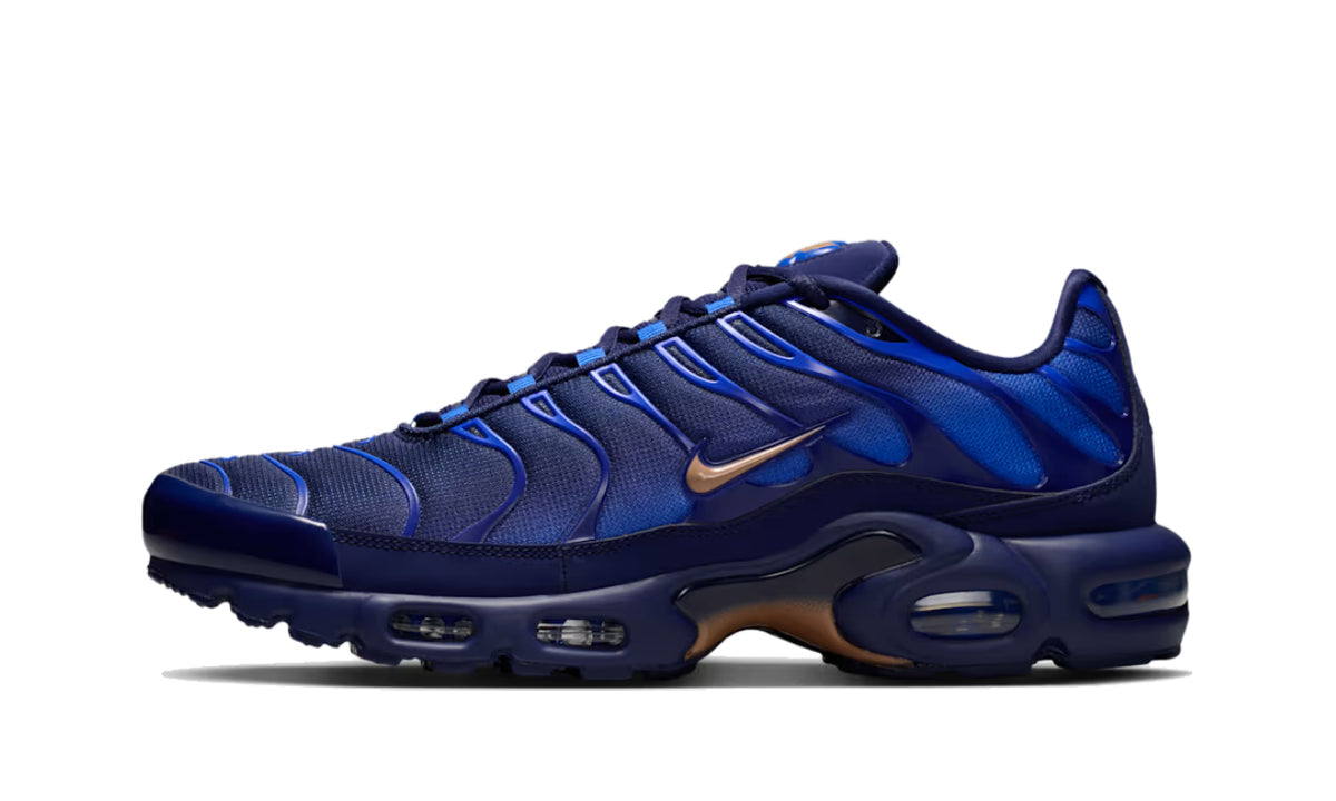 Nike Air Max Plus French Football Federation - IQ0170-400 - imagen 1