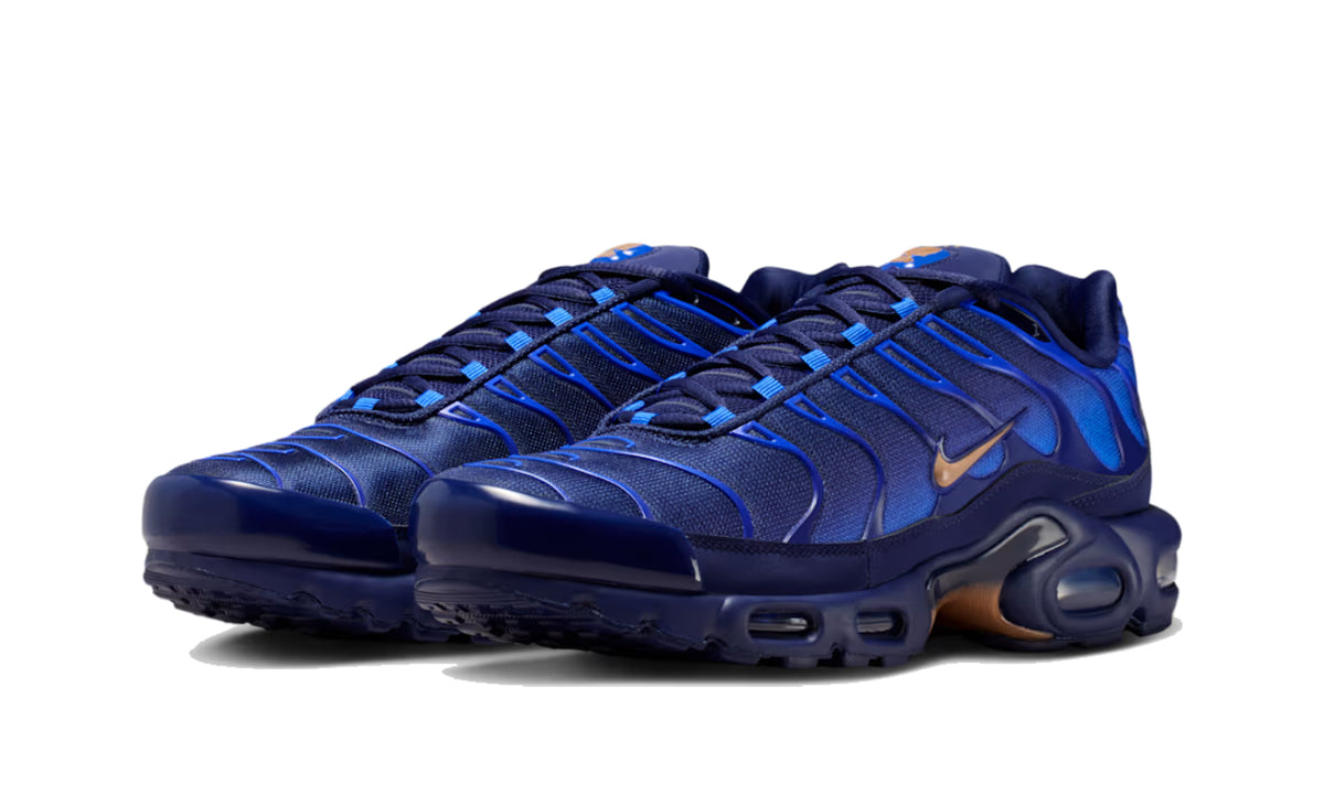 Nike Air Max Plus French Football Federation - IQ0170-400 - imagen 2