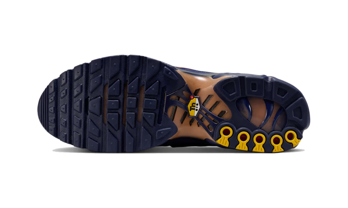 Nike Air Max Plus French Football Federation - IQ0170-400 - imagen 3