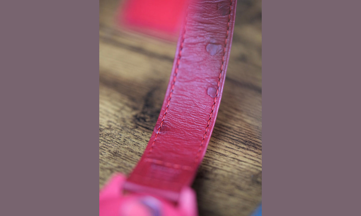 Special Edition - Swatch x Omega Bioceramic Moonswatch Mission to Ostrich Mars