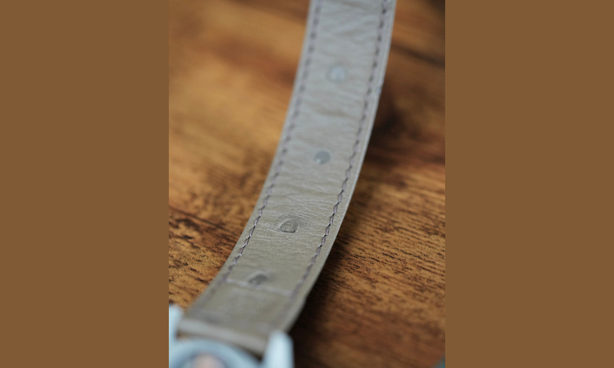 Special Edition - Swatch x Omega Bioceramic Moonswatch Mission to Ostrich Saturn