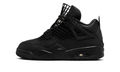 Air Jordan 4 Retro Net Black (Women's) - FN7251-001 - Vista 1