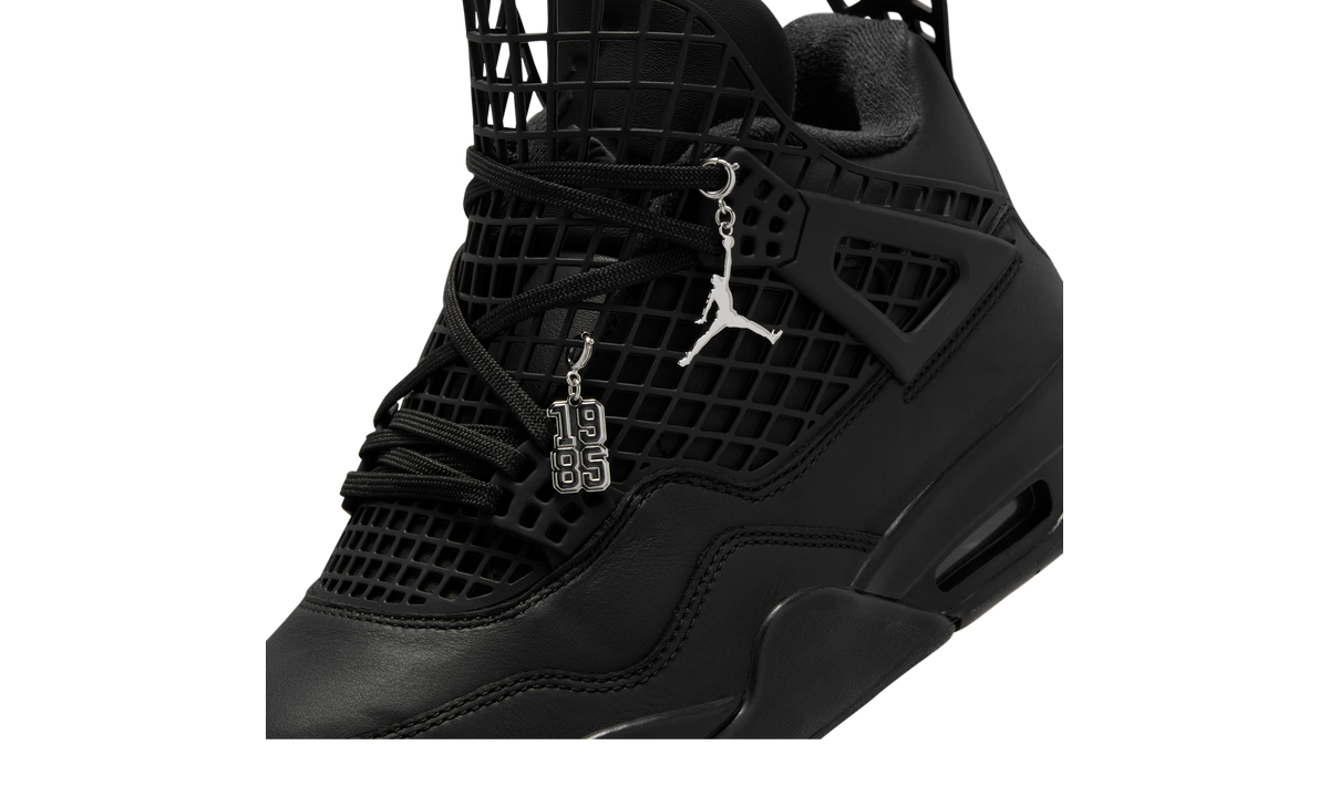 Air Jordan 4 Retro Net Black (Women's) - FN7251-001 - Vista 2