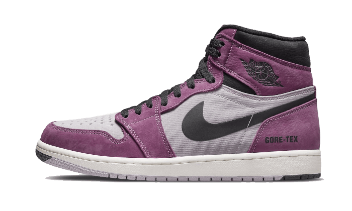 Air Jordan 1 Retro High Element Gore-Tex Berry DB2889-500 — Vista 1