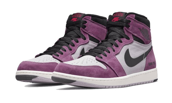 Air Jordan 1 Retro High Element Gore-Tex Berry DB2889-500 — Vista 2