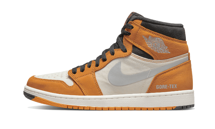Air Jordan 1 Element Gore-Tex Light Curry DB2889-700 — Vista 1