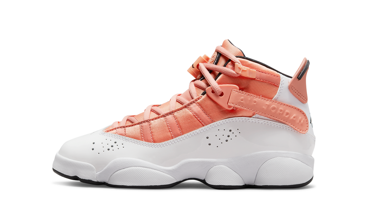 Air Jordan 6 Rings Light Madder Root (GS) DM8963-801 — Vista 1