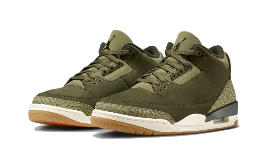 Air Jordan 3 Retro Family Affair DN3707-202 — Vista 2