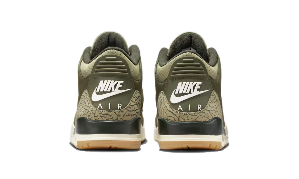 Air Jordan 3 Retro Family Affair DN3707-202 — Vista 3