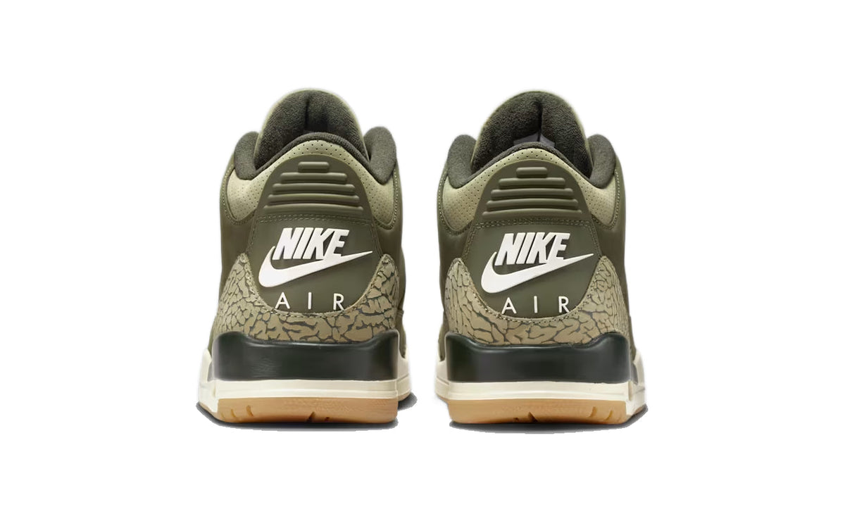 Air Jordan 3 Retro Family Affair DN3707-202 — Vista 3