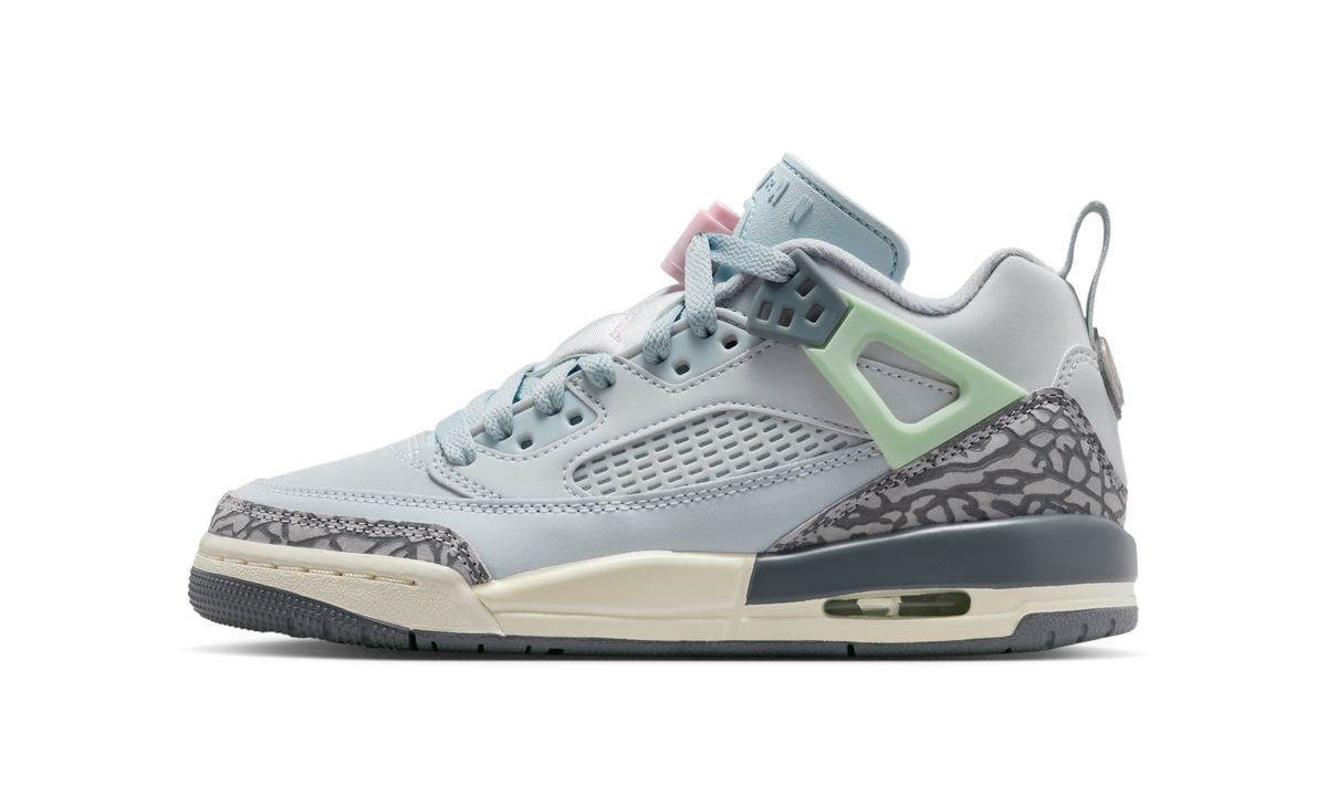 Air Jordan Spizike Low Aura Wolf Grey (GS) FQ3950-401 — Vista 1