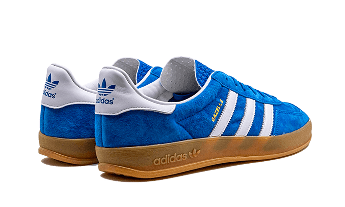 Adidas Gazelle Indoor Blue Bird Cloud White Blue Bird