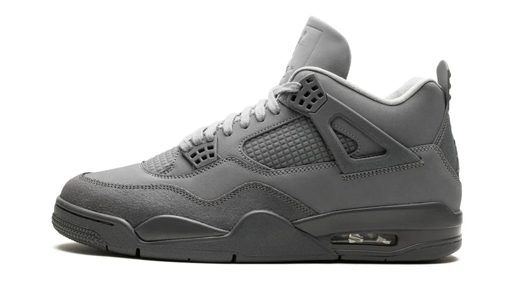 Air Jordan 4 Se Paris Olimpics Wet Cement
