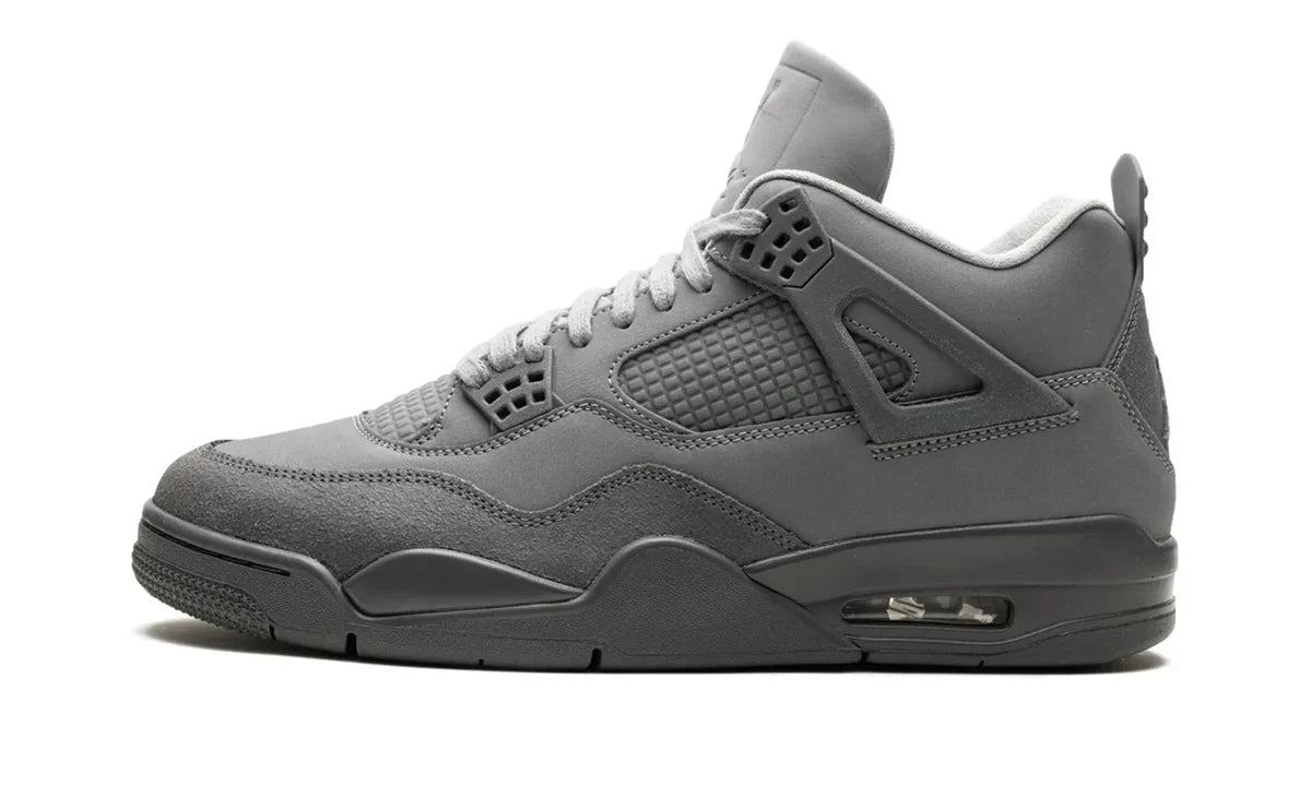 Air Jordan 4 Se Paris Olimpics Wet Cement