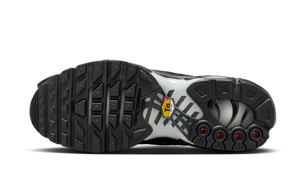 Nike Air Max Plus Black Anthracite Sail (Women's) - FV1169-001 - Vista 2