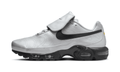 Nike Air Max Plus Tiempo Wolf Grey