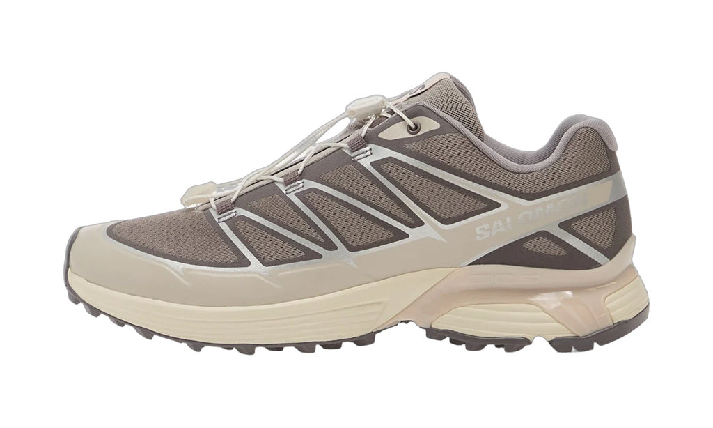 Salomon XT-Pathway 2 Gull Silver Lilac Ash de perfil