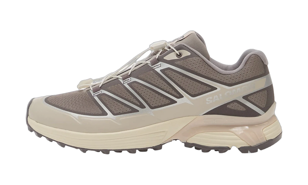 Salomon XT-Pathway 2 Gull Silver Lilac Ash — vista perfil