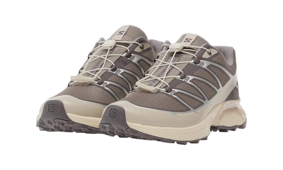 Salomon XT-Pathway 2 Gull Silver Lilac Ash - vista 6