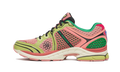 Saucony ProGrid Triumph 4 Jae Tips Flowers Grow Uptown Virginia Creeper - S70966-2 - Vista 1