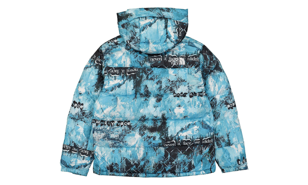 The North Face Printed Himalayan Down Parka