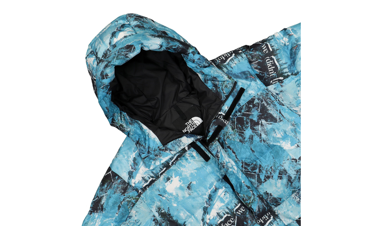 The North Face Printed Himalayan Down Parka