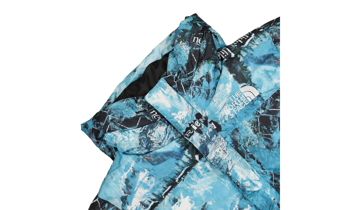 The North Face Printed Himalayan Down Parka