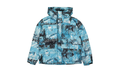 The North Face Printed Himalayan Down Parka