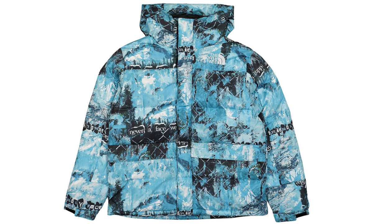The North Face Printed Himalayan Down Parka