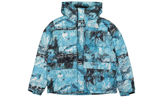 The North Face Printed Himalayan Down Parka